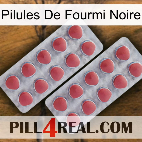 Black Ant Pills 19.jpg